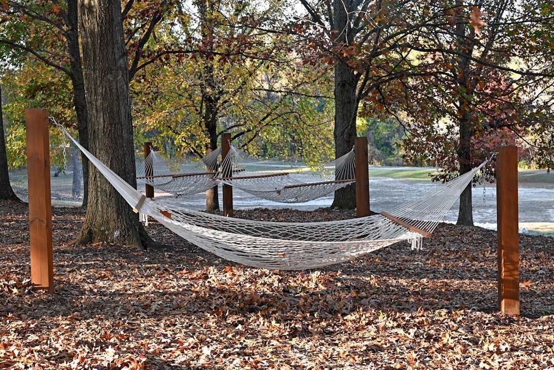 "Empty Hammocks" --- Unused hammocks on a fall day.